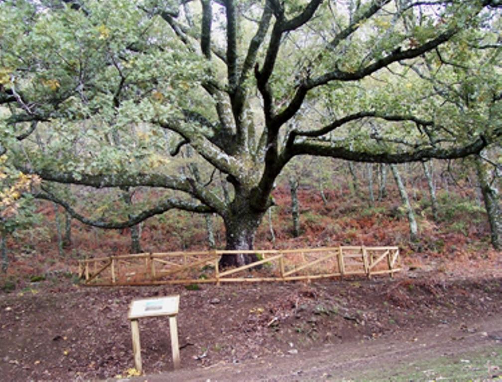 Las Calabazas Barrado Bilik gambar